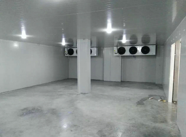 浙江杭州安裝20噸蘿卜保鮮冷庫(kù)工程